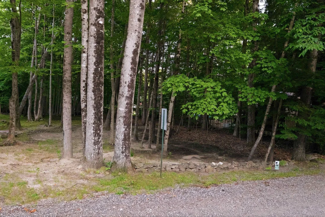 Photo of 55 Mountain View