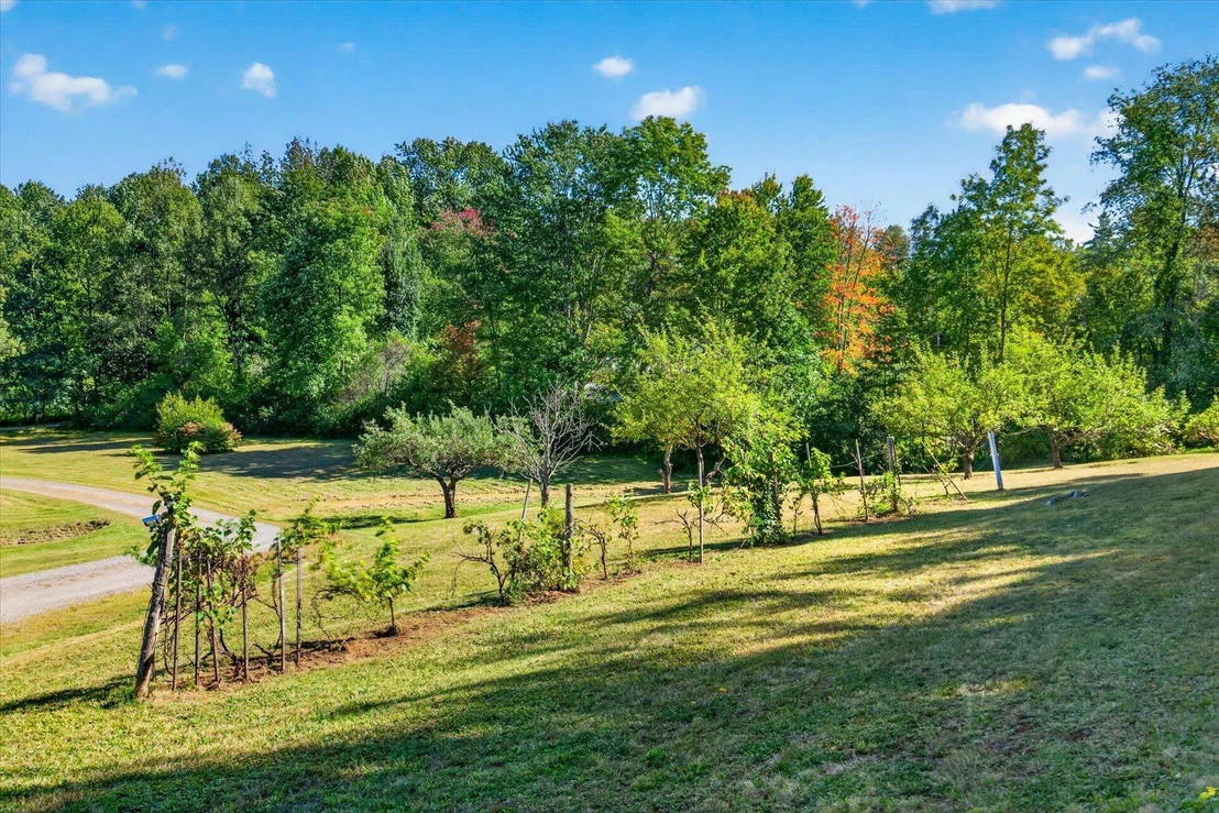 Photo of 661 Wright Orchard