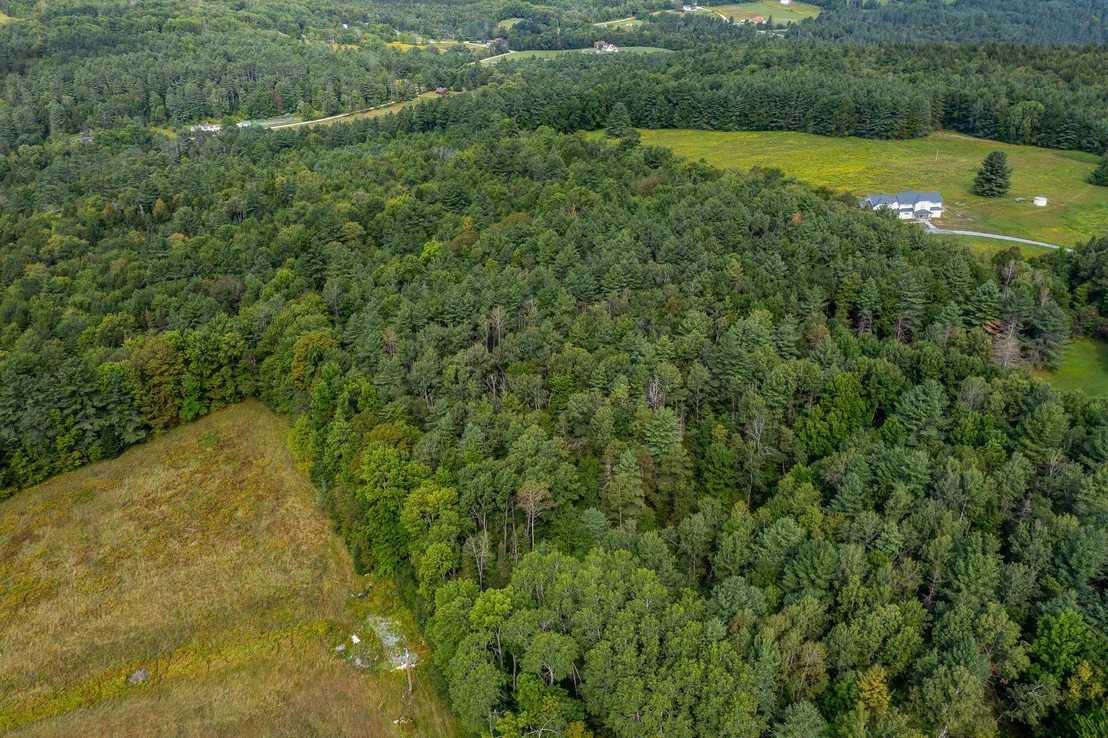 Photo of Lot #4 Meadow