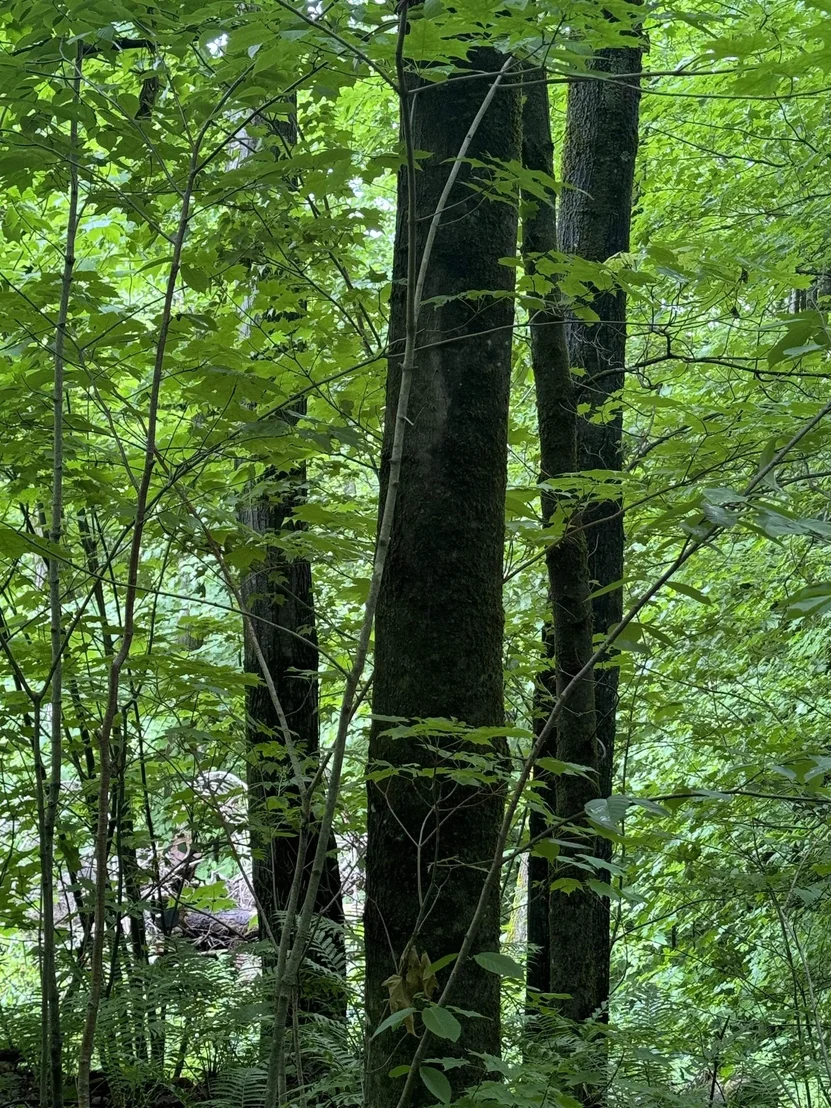Photo of 680 Deming