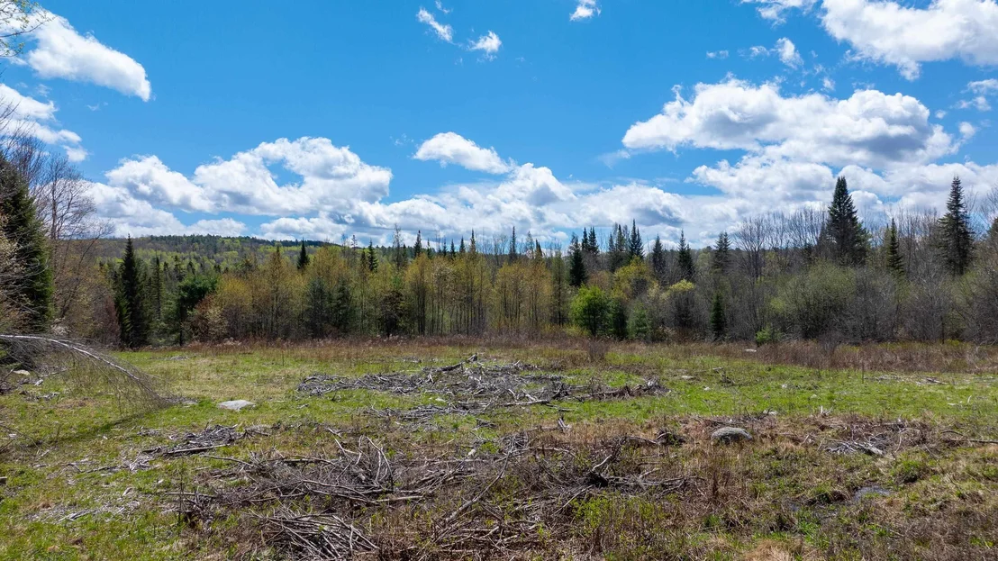 Photo of 491 Mount Eustis