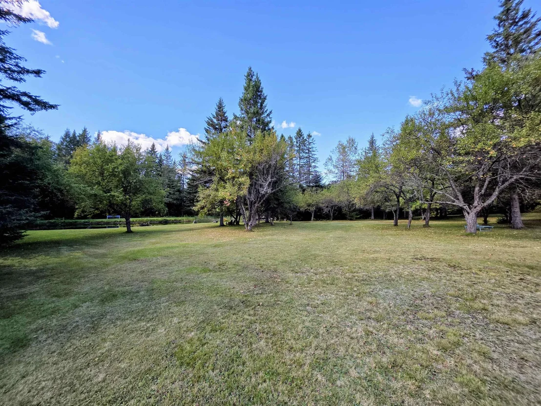 Photo of 255 Gray