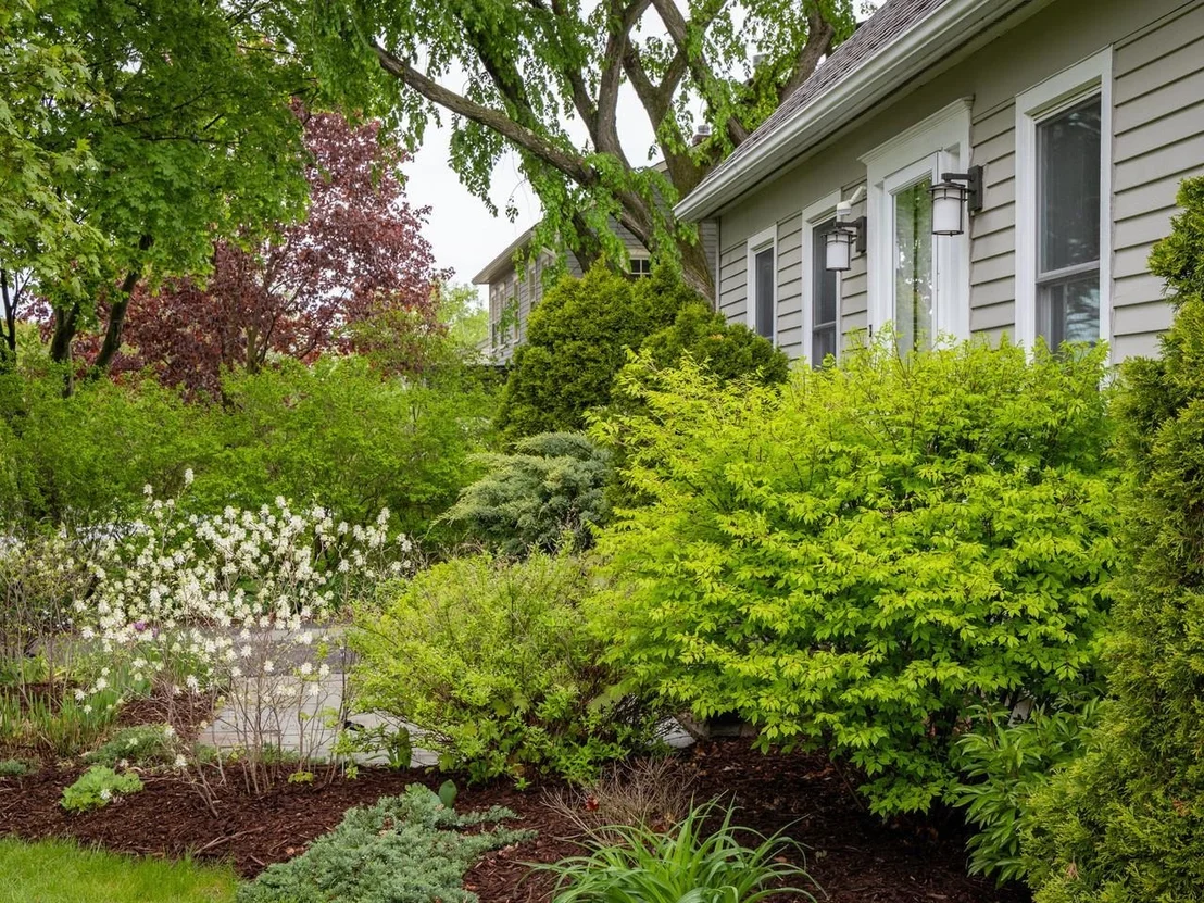 Photo of 113 Maplewood