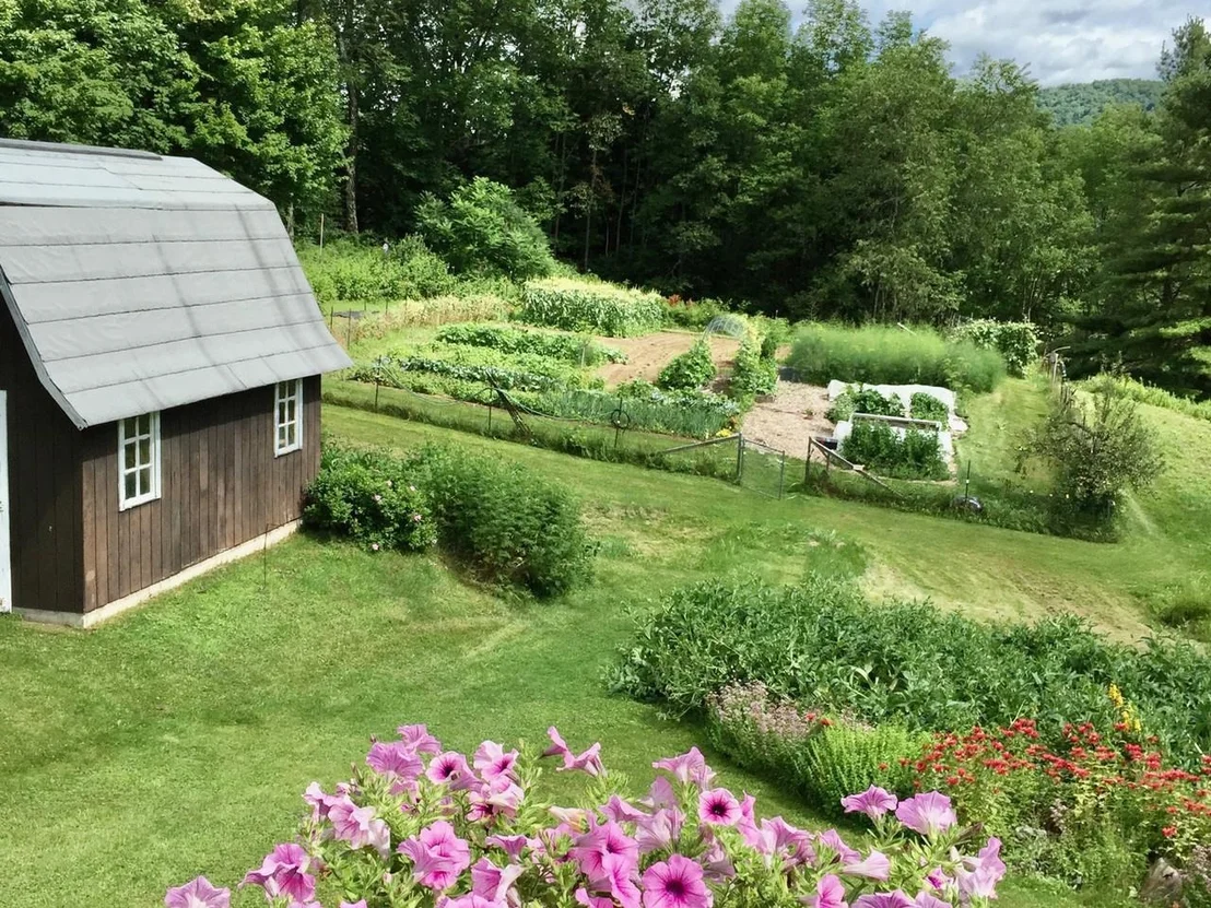 Photo of 12 Briar Patch