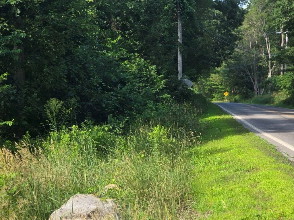 Photo of 509 River
