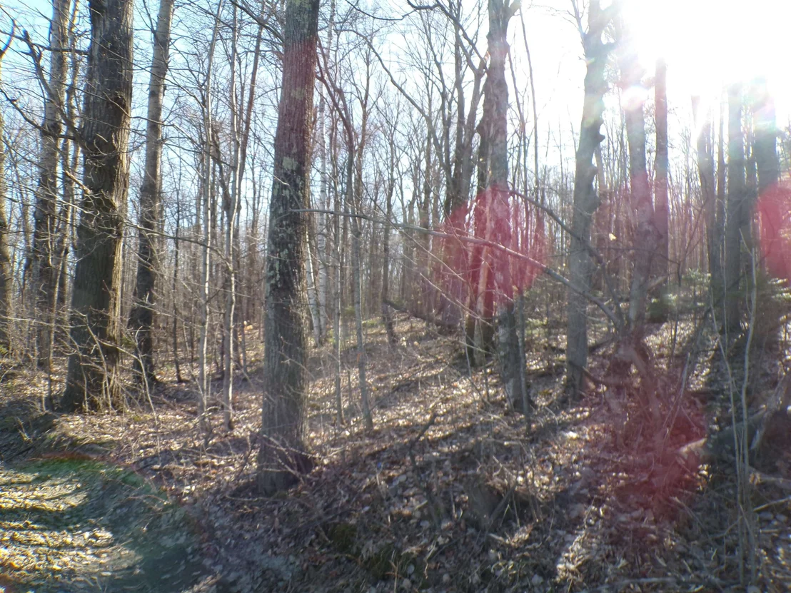 Photo of 440 Baird