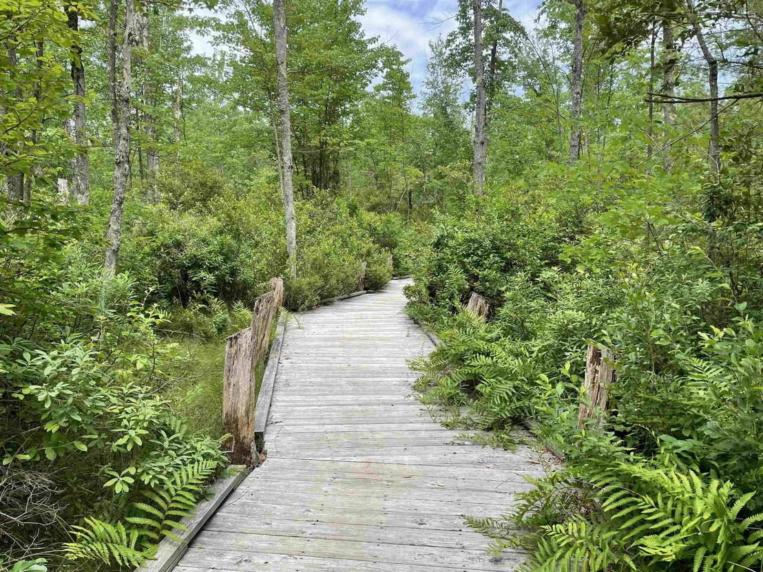 Photo of 40 White Pond