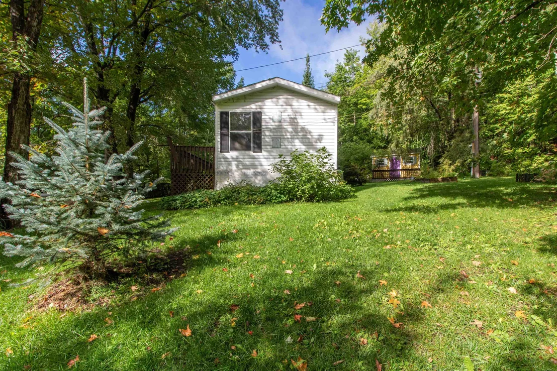Photo of 62 Maple Tree