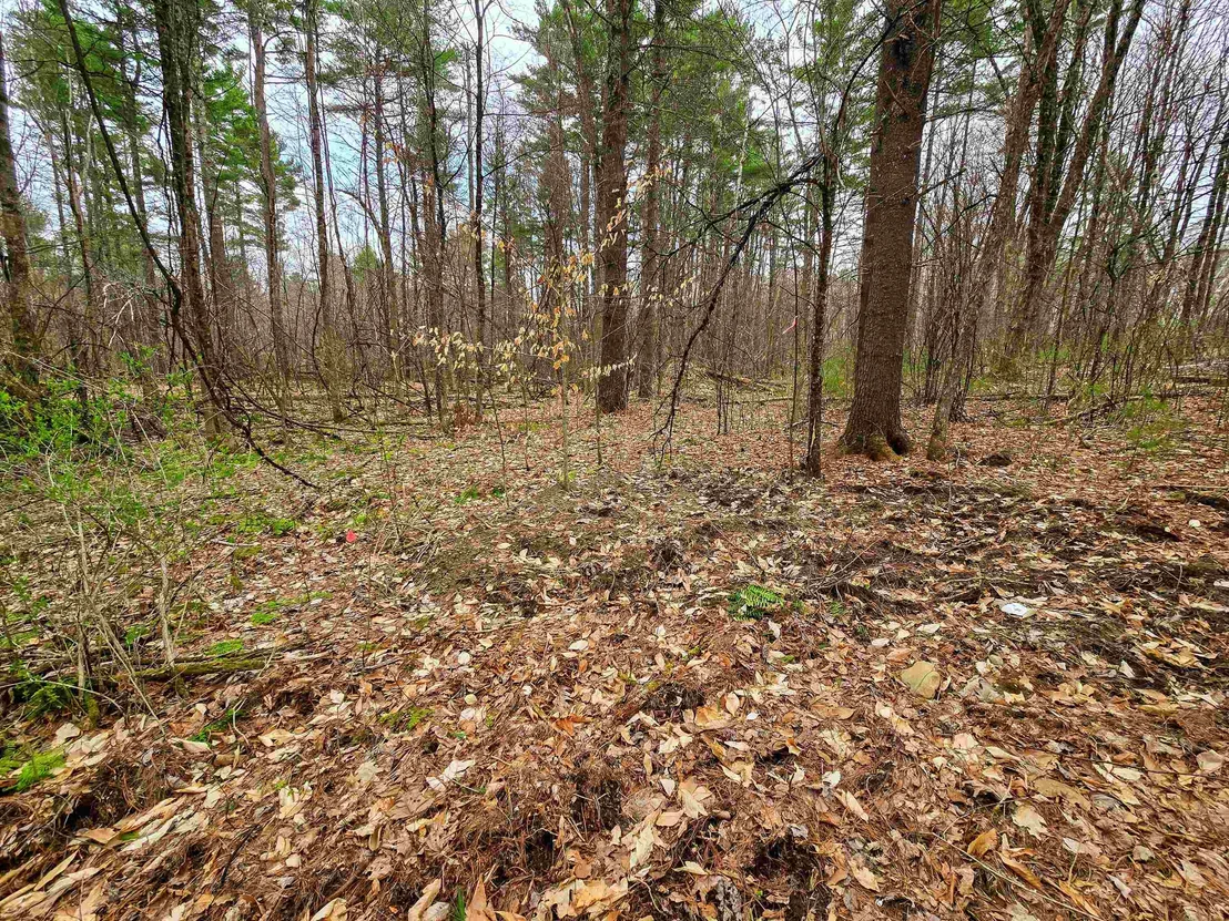 Photo of 765 Camp