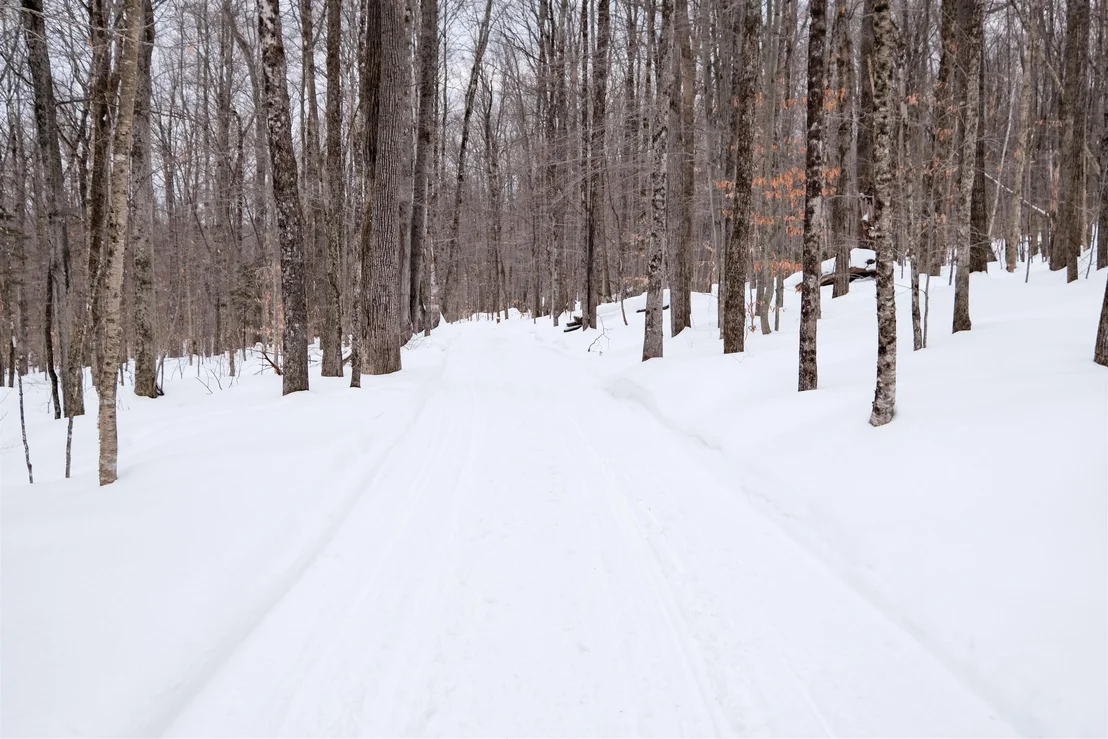 Photo of 0 Markham Mountain