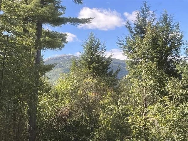 Photo of 130 Mountain