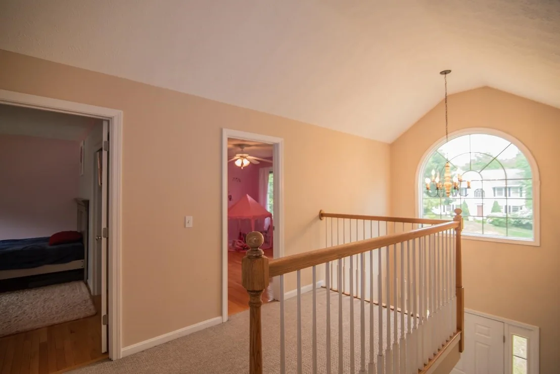 Photo of 7 Dove