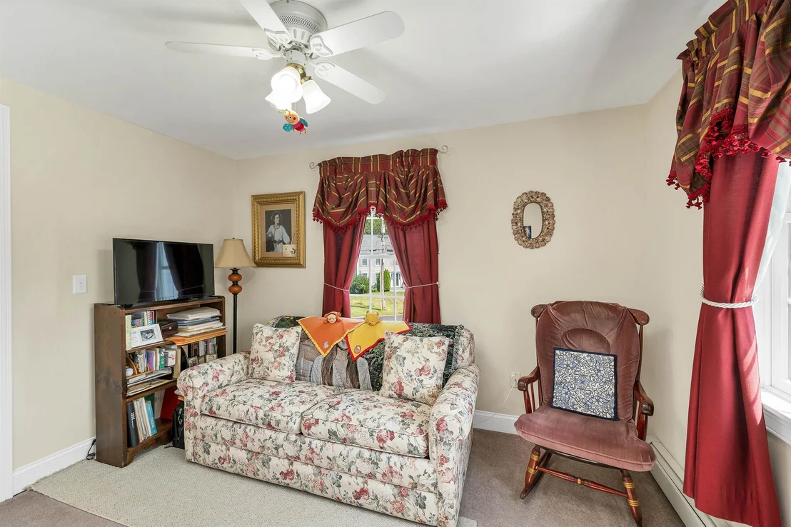 Photo of 41 Viola