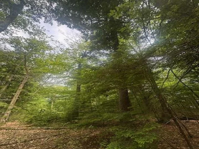 Photo of 115 Deer Path