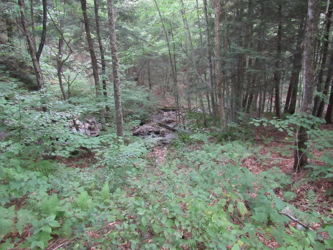 Photo of 6791 US Route 5