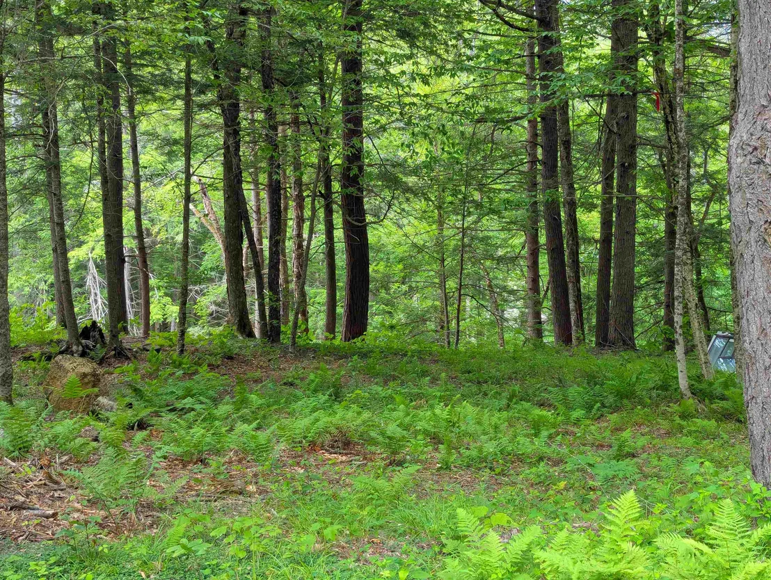 Photo of 0 Hunter Brook