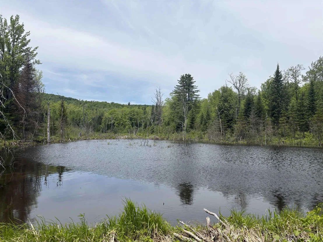 Photo of 0 Old Pond Hill