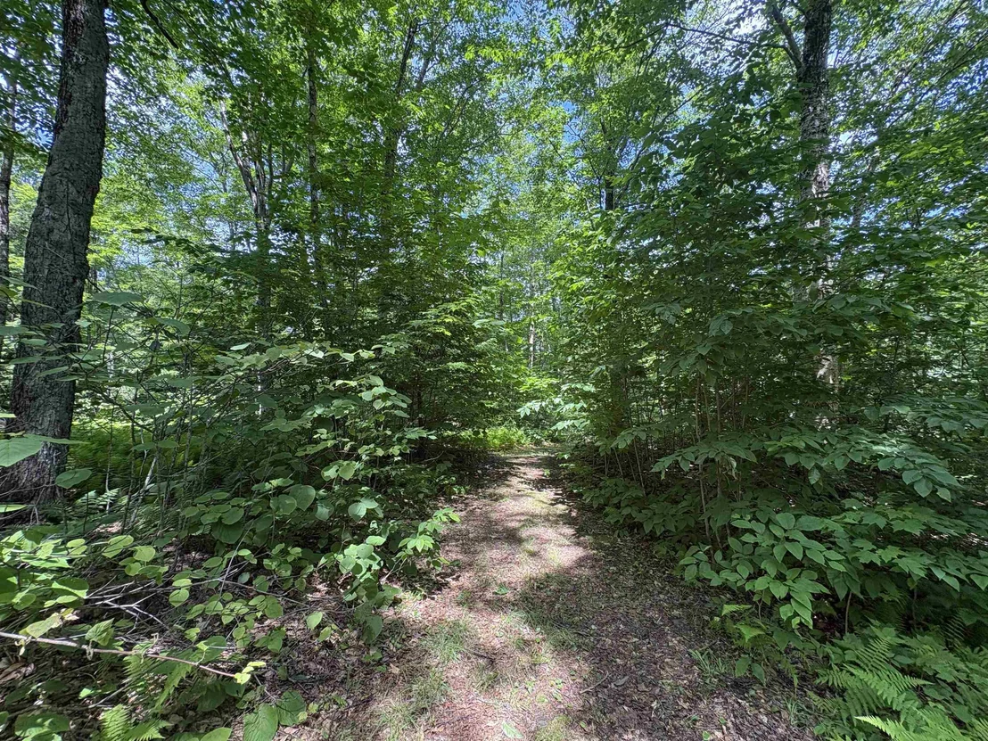 Photo of 7601 VT Route 105 E