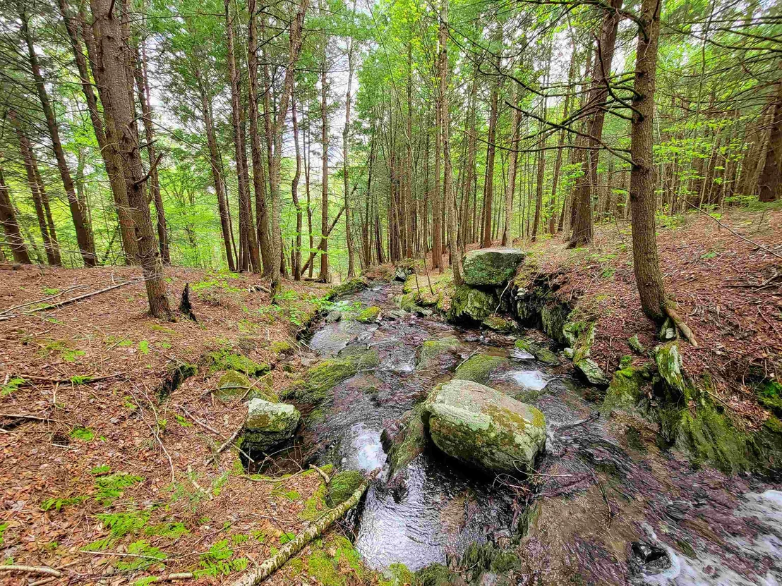 Photo of 167 High Meadow
