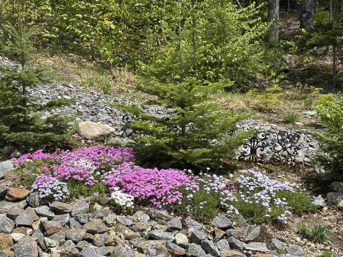Photo of 22 Cascade Ridge