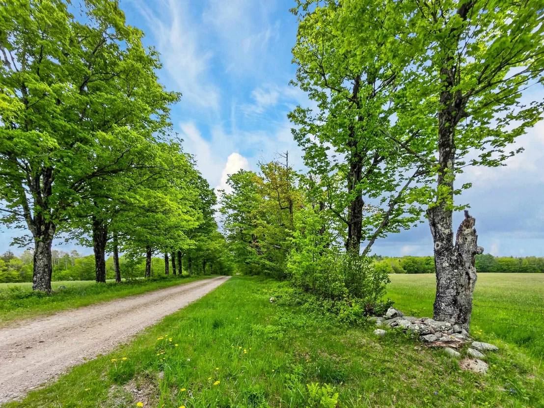 Photo of Lot 0 Saddada