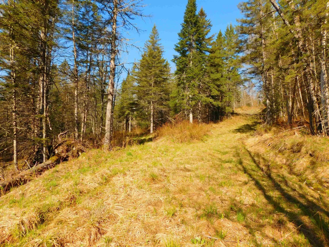Photo of 0 Piper Hill
