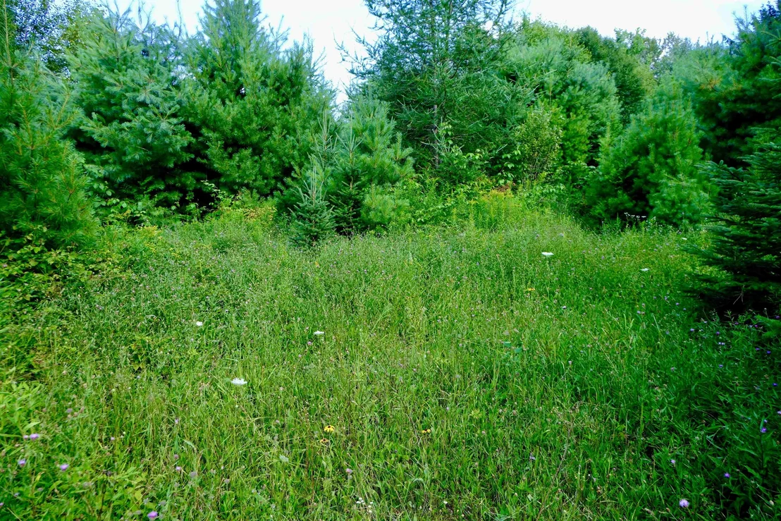 Photo of 0 Calendar Brook