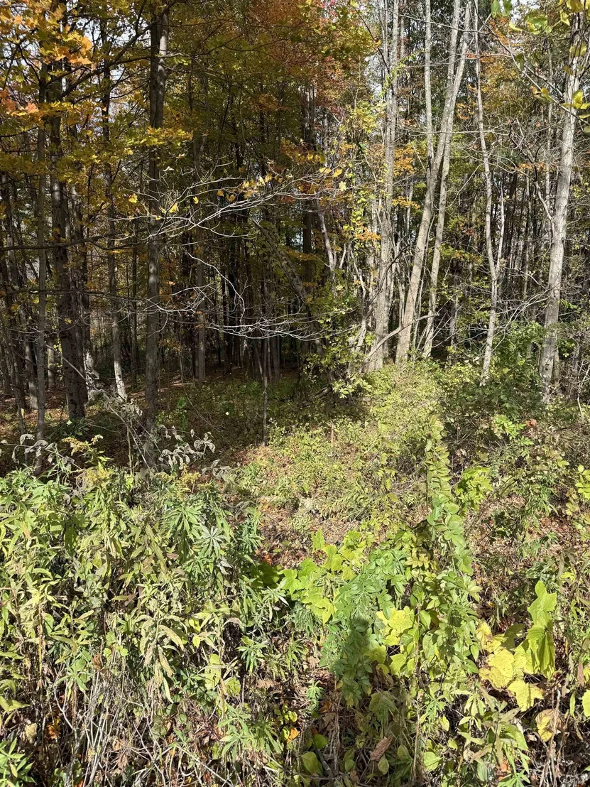 Photo of 0 Sunset Hill