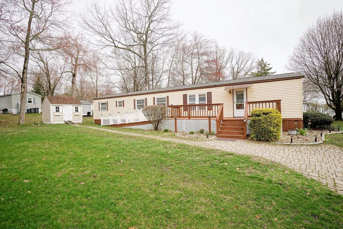Photo of 11 Amy