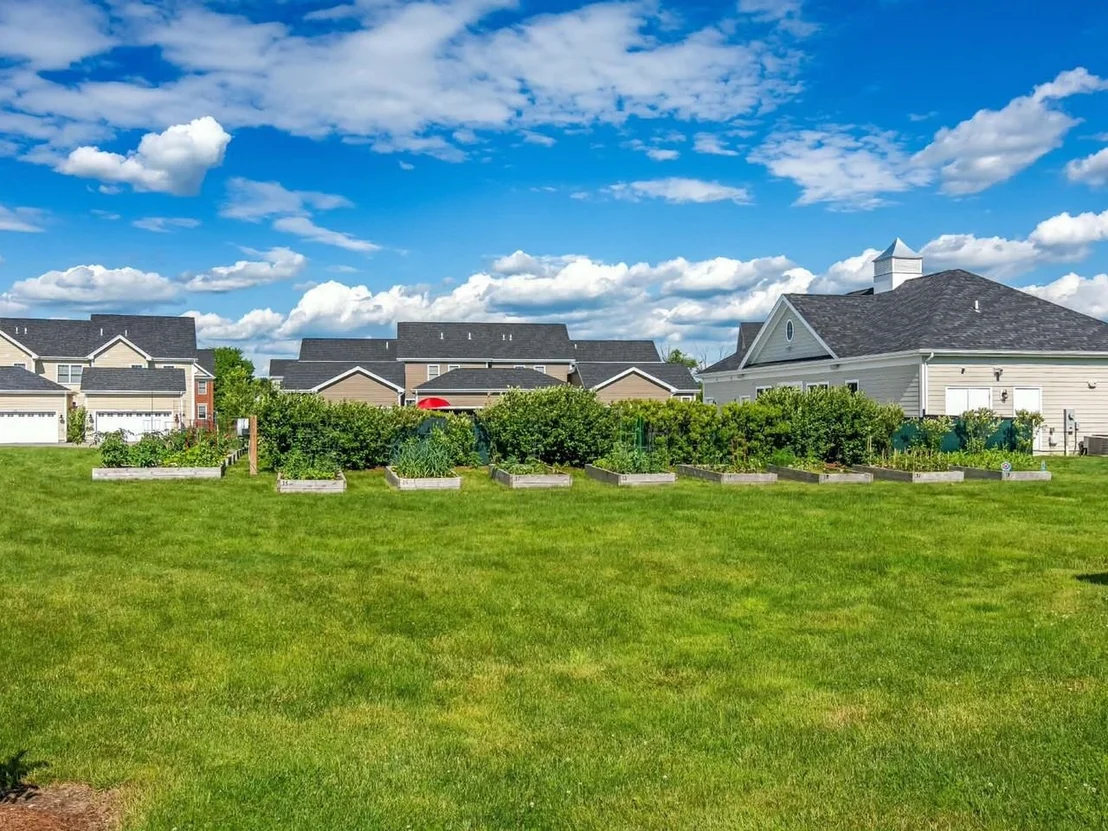 Photo of 70 Dunmore
