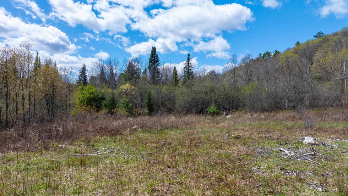Photo of 491 Mount Eustis
