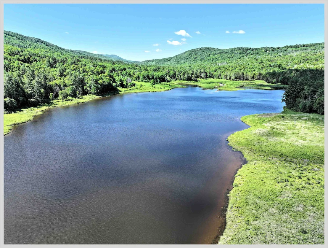 Photo of 206 River