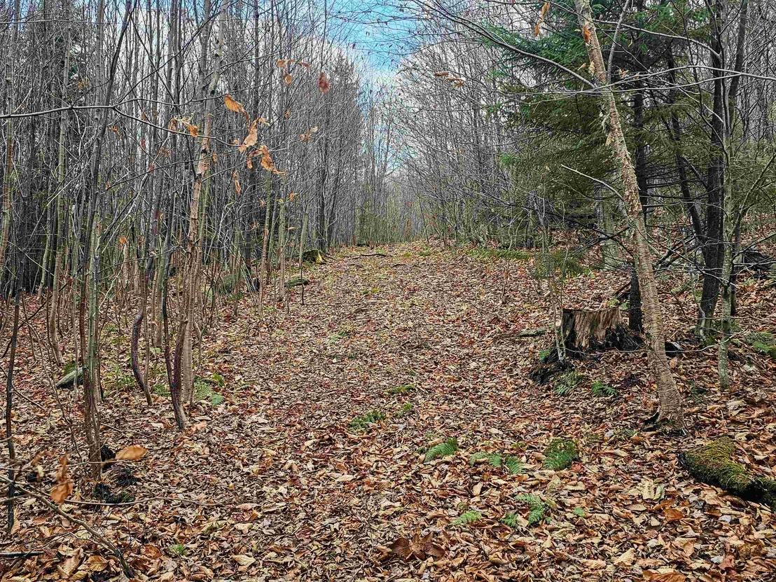 Photo of 706 VT Route 100