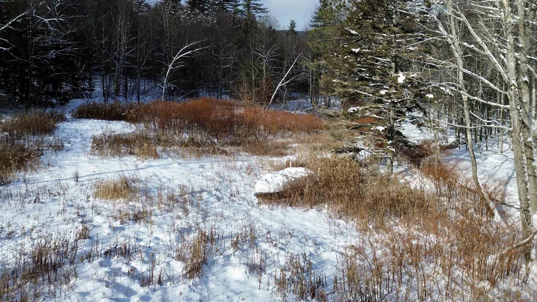 Photo of 142 Brooks