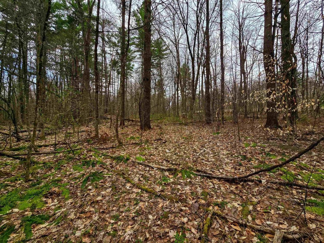 Photo of 765 Camp