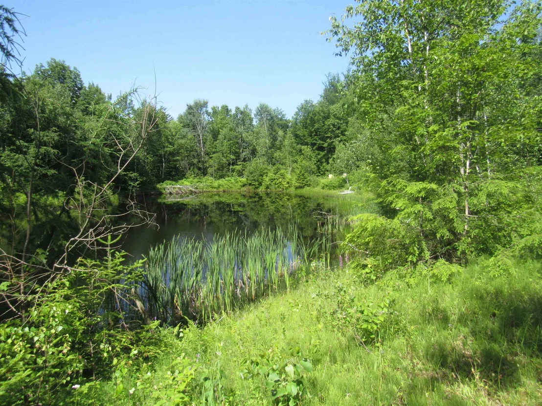 Photo of 1239 Baldwin Brook