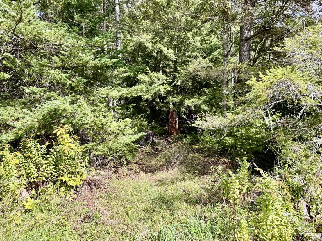 Photo of 292 Parsons