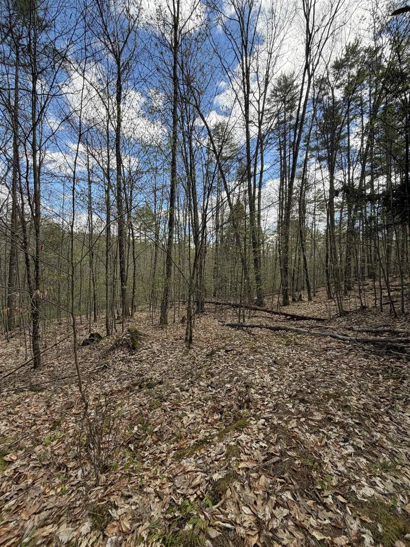 Photo of 00 Dothan