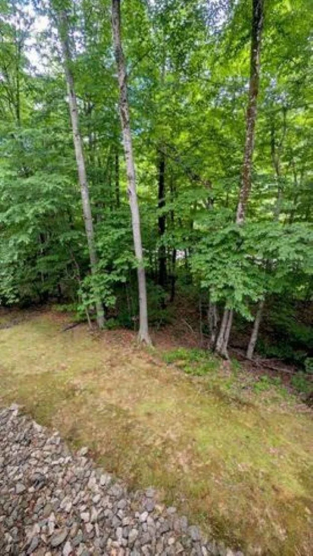 Photo of Unit 1 at 6 Easterly