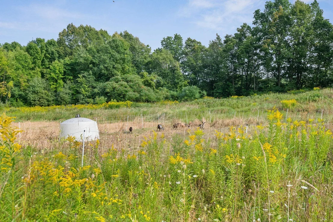 Photo of 2944 Shellhouse Mountain