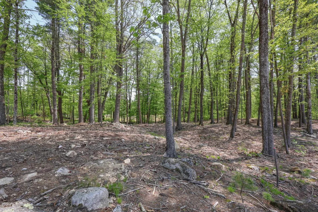 Photo of Unit MAP14LOT449 at 44-9 Olympus