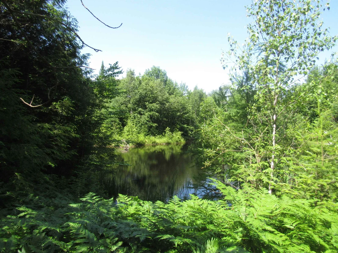 Photo of 1239 Baldwin Brook