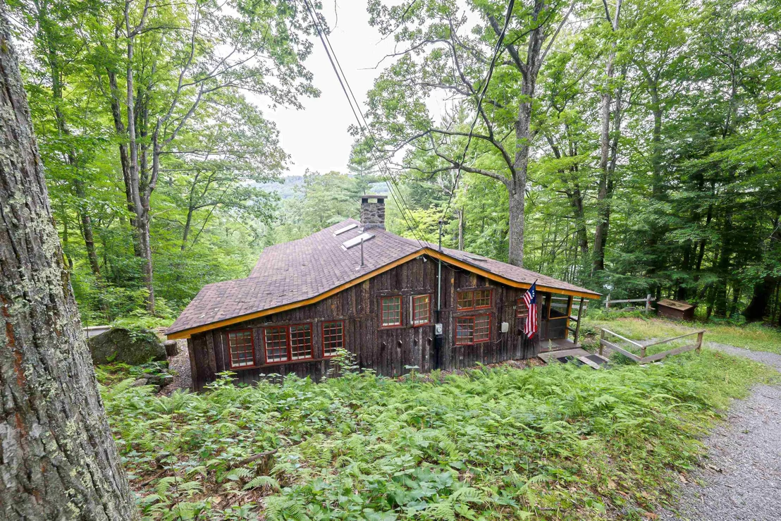 Photo of 66 White Birch