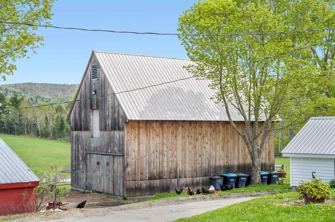 Photo of 183 Morrie
