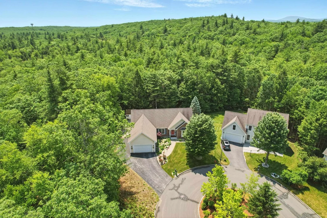Photo of 55 River Birch