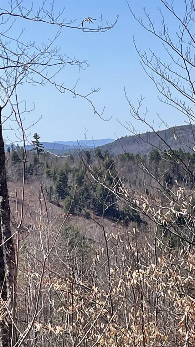 Photo of Unit LOT3 at 0 Oregon