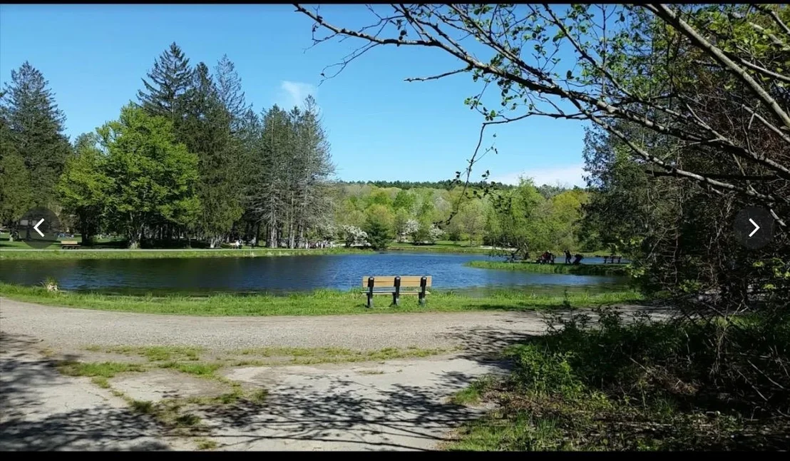Photo of 6 Bear Path