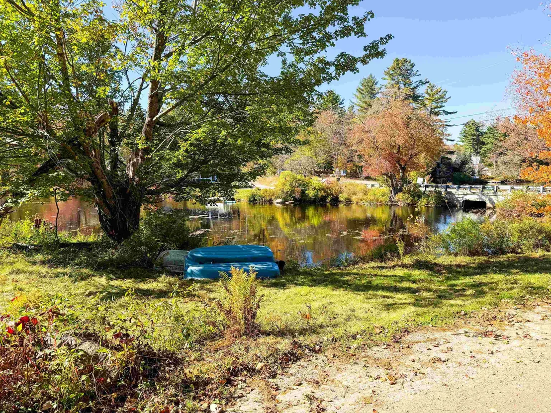 Photo of 15 Dead Brook