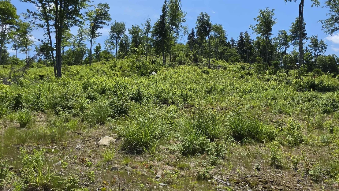 Photo of Map R6 Lot 1C Deer Crossing