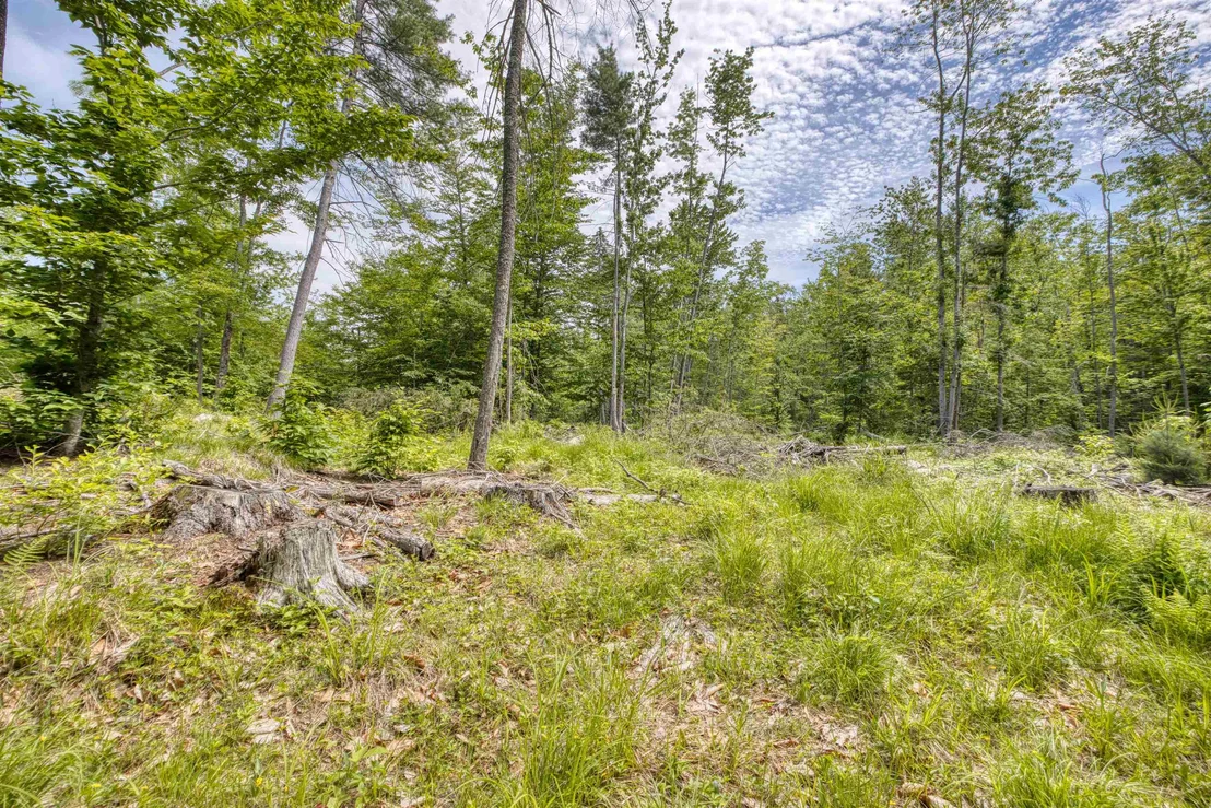 Photo of 160 Browns Ridge